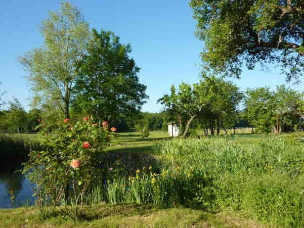 Maison Dans Belle Longere - La Serrerie Le Controis-en-Sologne 외부 사진